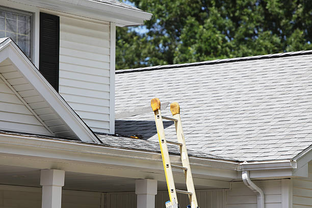 Best Construction Debris Removal  in Cass City, MI